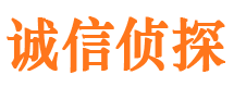 当阳捉小三公司